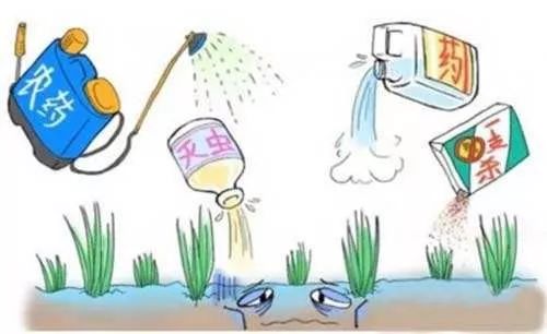 行业首创，戴安净水系统彻底解决家庭饮用水八大问题！(图12)