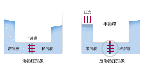 干货丨关于RO净水器的专业知识，你有必要了解(图1)