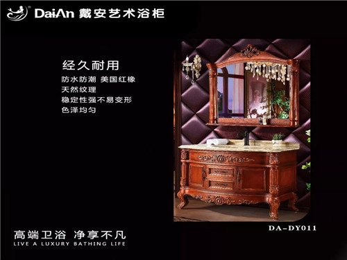 2018年戴安战略新品，强势来袭！(图22)