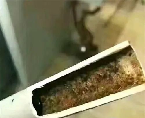 行业首创，戴安净水系统彻底解决家庭饮用水八大问题！(图7)